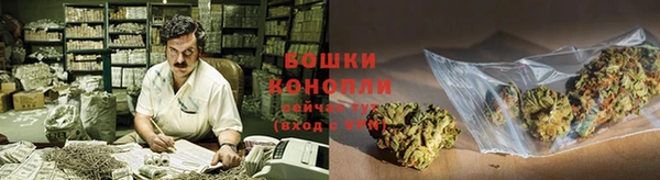 дурь Лабытнанги