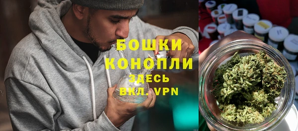дурь Лабытнанги