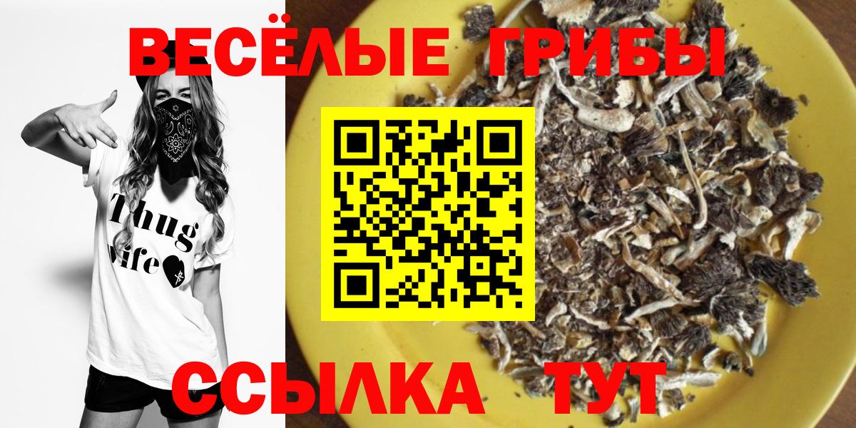 Псилоцибиновые грибы Psilocybe Екатеринбург